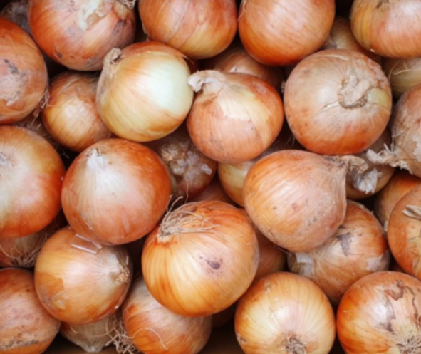 양파 부작용 효능 효과