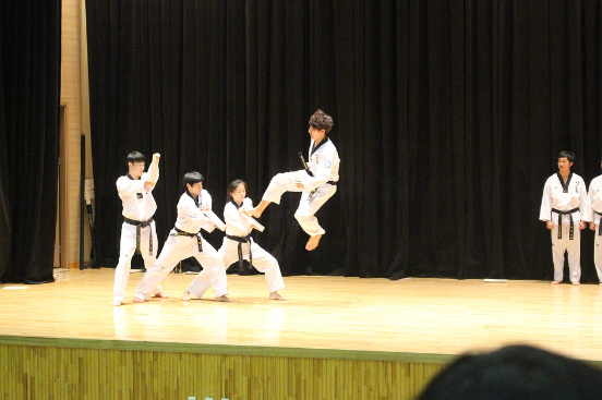 Taekwondo2