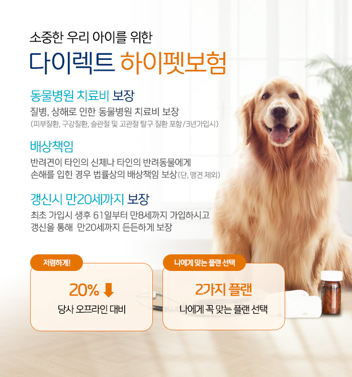 펫보험 비교 추천 총정리