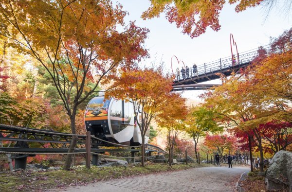 화담숲 예약 방법과 방문 팁 총정리