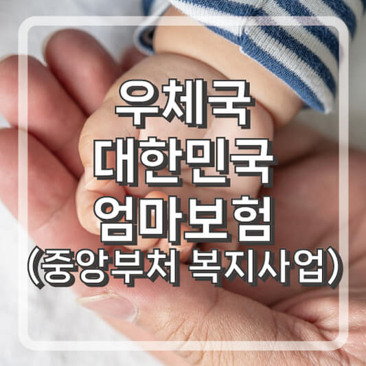 태아 및 임산부 혜택 우체국대한민국 엄마보험(중앙부처 복지사업)