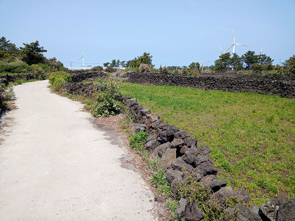 올레길 20코스: 김녕서포구에서 제주해녀박물관까지