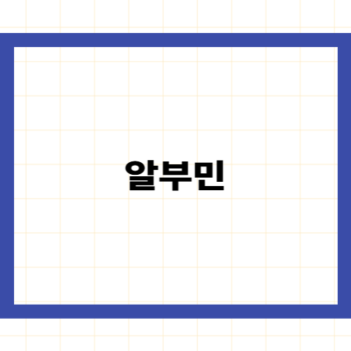 알부민