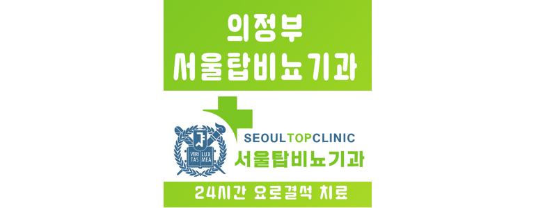 의정부시 요로결석 병원