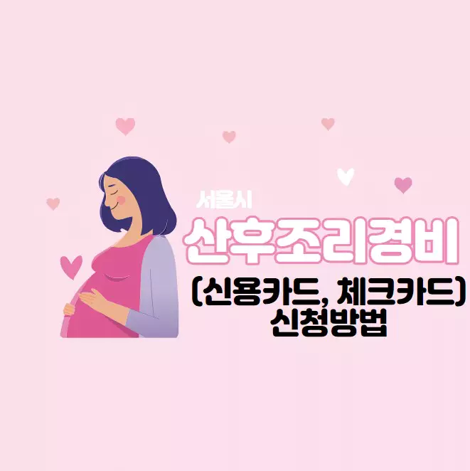서울시 산후조리경비(신용카드&#44; 체크카드) 신청방법