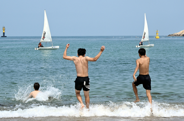 전국 해수욕장 개장, 폐장 일자 총 정리