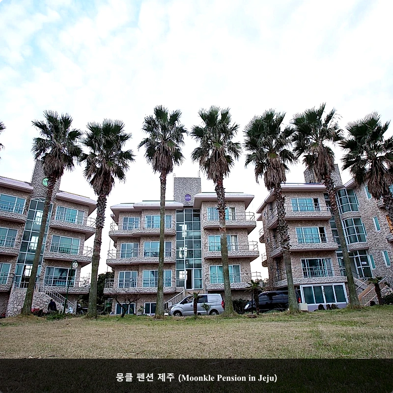 뭉클 펜션 제주 (Moonkle Pension in Jeju)_1