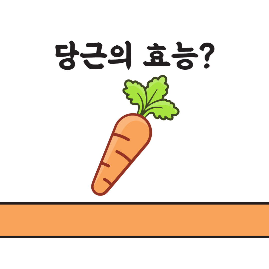 당근의 효능