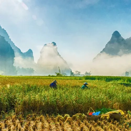 조경기능사 자격증 시험일정