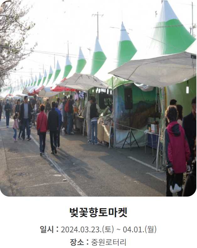진해군항제
