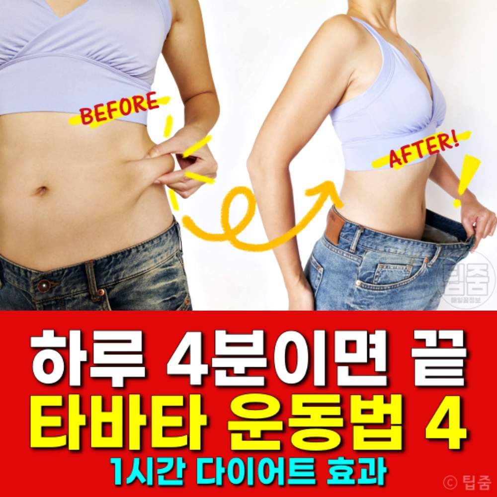 타바타 운동 4분운동,1시간 다이어트,간헐적운동법