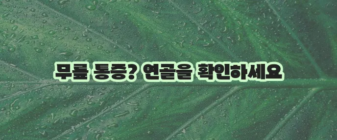 무릎 연골 손상 증상과 종류 원인 꼭 알아야 합니다
