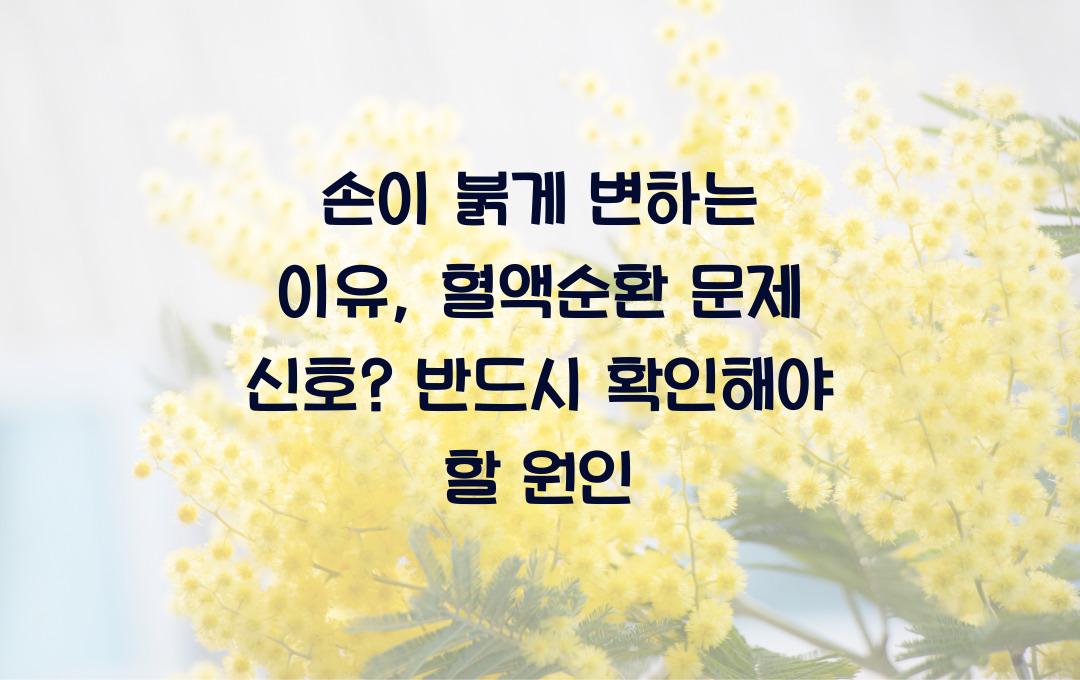 손이 붉게 변하는 이유, 혈액순환 문제 신호?! 원인 정리!