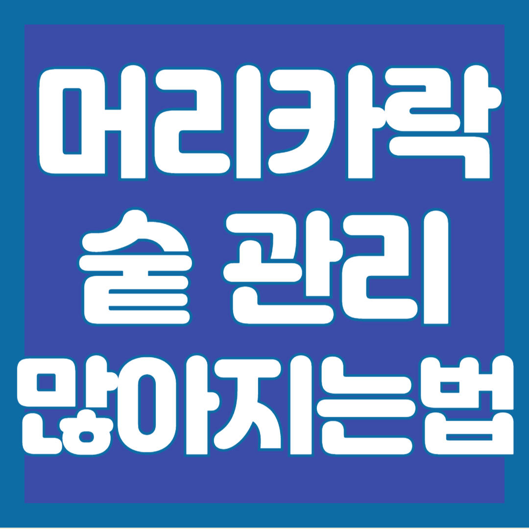 머리카락