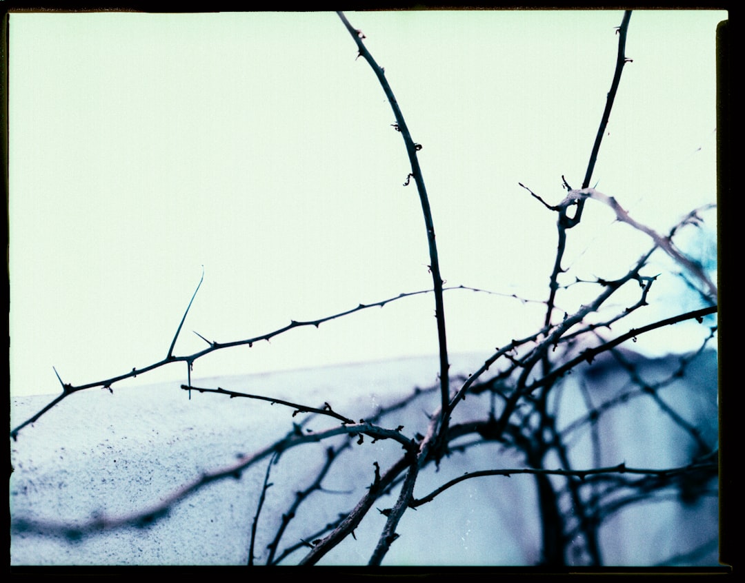 Reintegration.