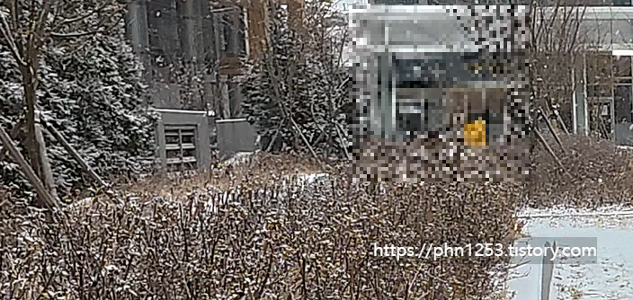 Alt 속성 문제 해결 설명 이미지