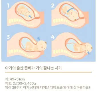 출산 후 자궁수축 기간_20