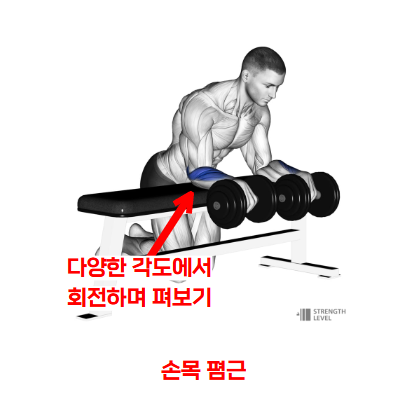 리버스 리스트 컬