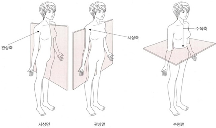 인체의 축과 운동면
