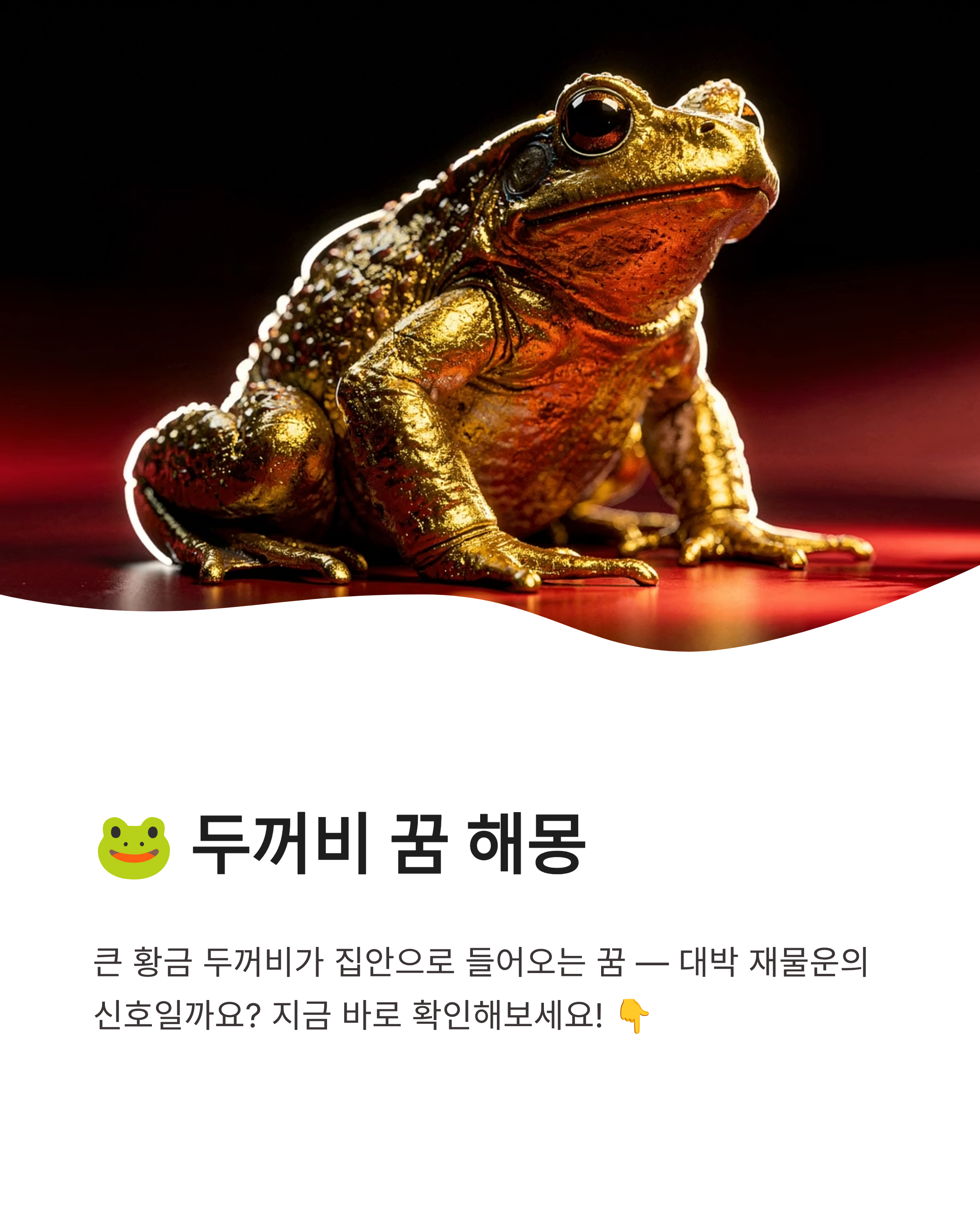 두꺼비 꿈 해몽 큰 황금 두꺼비가 집안으로 들어오는 꿈 대박 재물운일까?