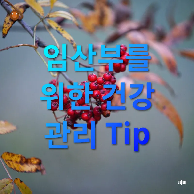 임산부 건강 관리_3