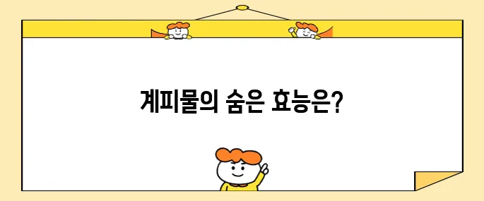 계피물의 효능 10가지와 그 부작용을 알아보자