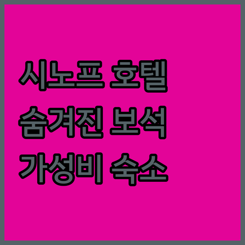 시노프 호텔 완벽 분석! 숨겨진 보석..