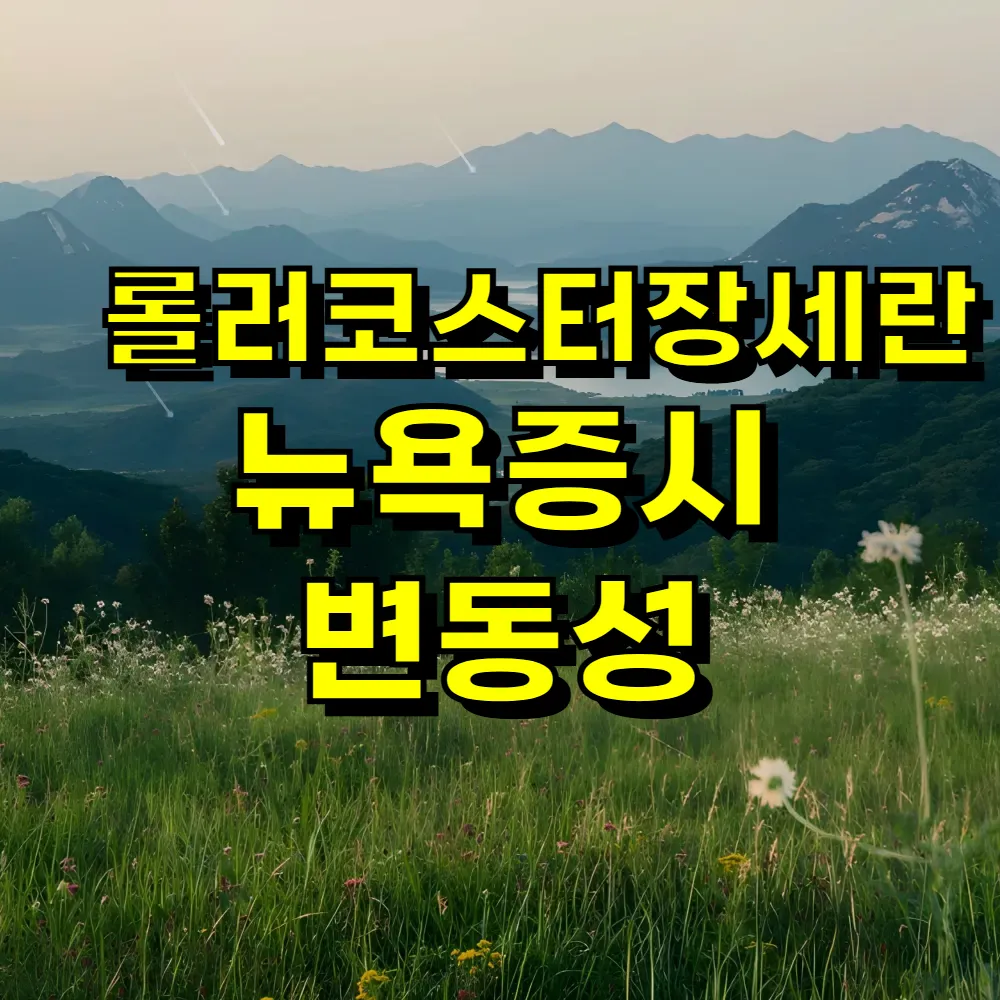 롤러코스터장세란 뉴욕증시 변동성