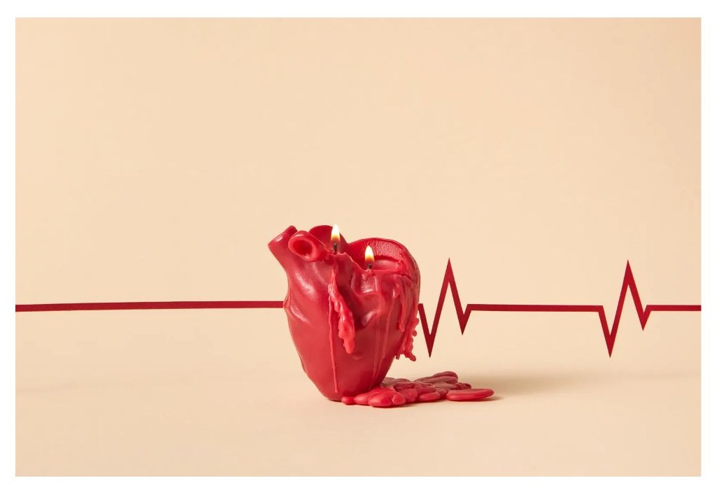 심장 이미지 사진