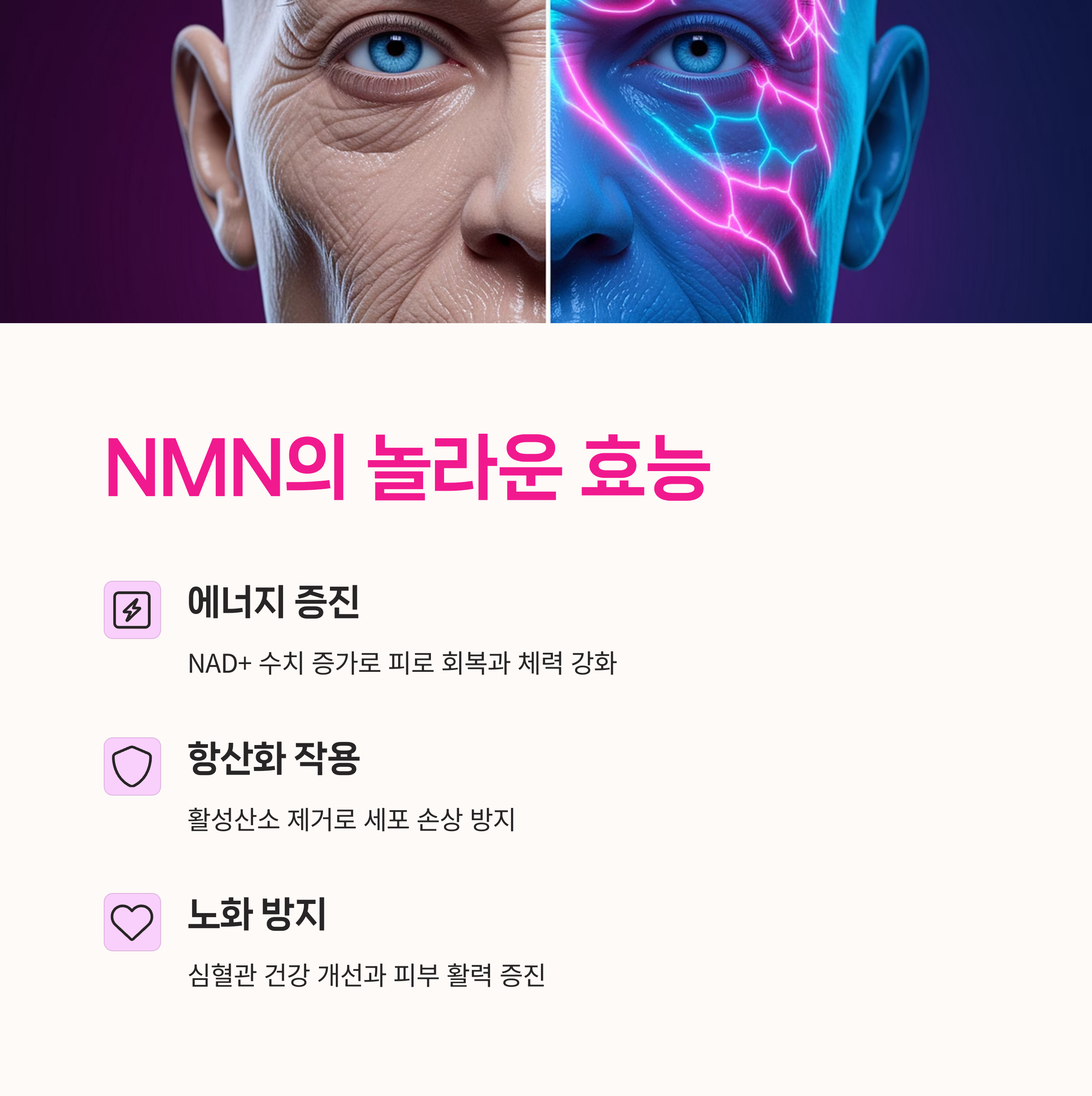 에너지대사, 데이비드 싱클레어,