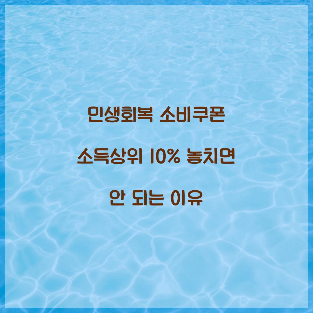 민생회복 소비쿠폰 소득상위 10%