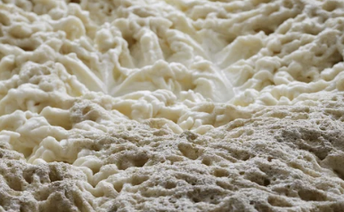 맥주효모 비오틴