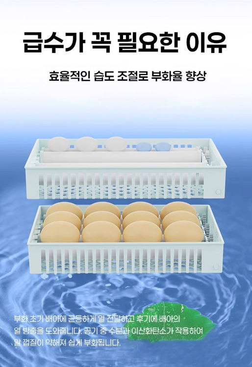 병아리 부화기 추천 | 초이 전자동 스마트 부화기 사용 후기