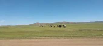 몽골 여행 코스 환율 환전 패키지_18