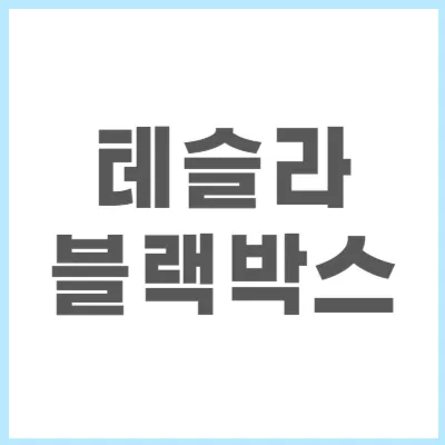 테슬라 블랙박스