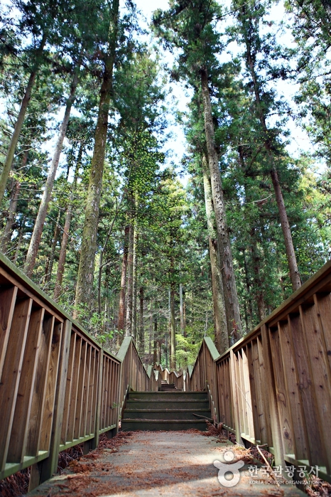 장성 가볼만한곳 베스트 10