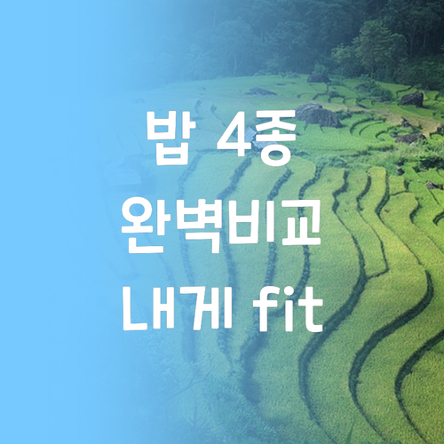 오뚜기밥 대표 4종 완벽 비교 프리미..