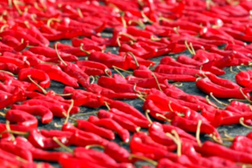 절임배추 사전예약