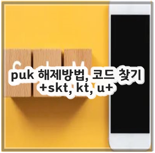 유심 교체시 주의사항 5가지
