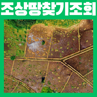 조상땅 찾기 조회