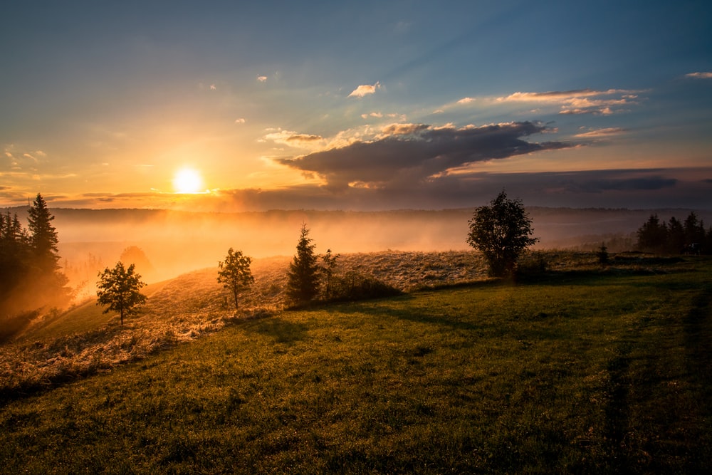 at the crack of dawn
