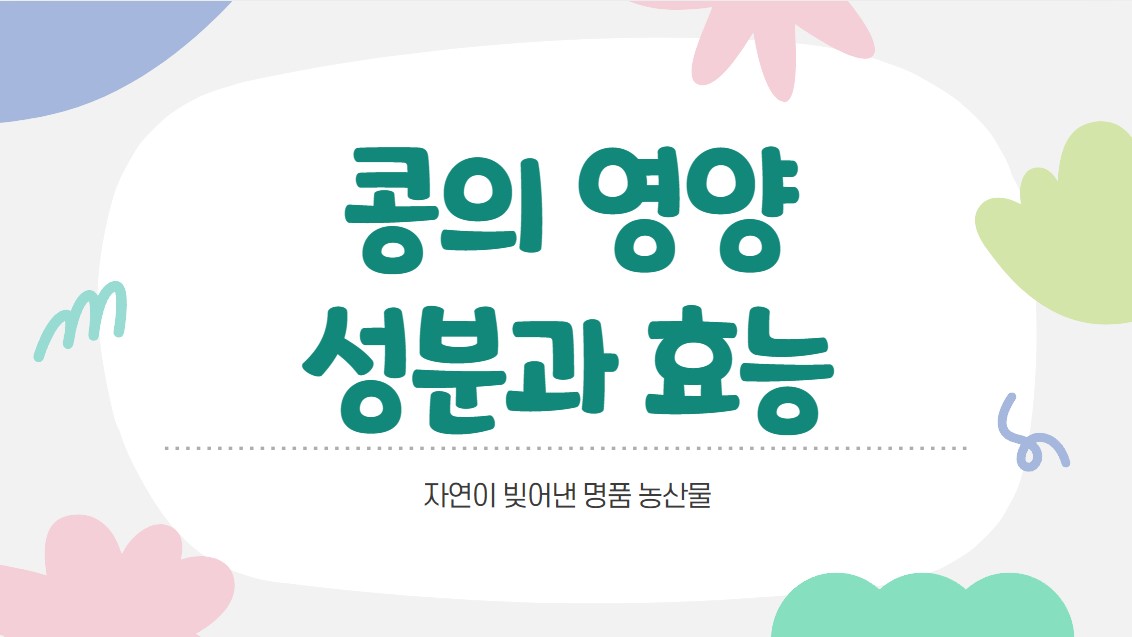 콩의 영양성분과 효능