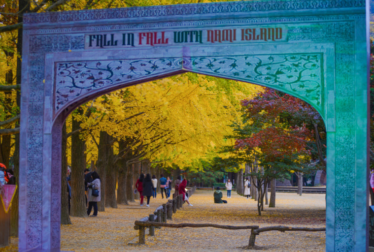 2025 가평 남이섬 단풍 및 절정시기, 주차, 맛집, 주변명소 사진
