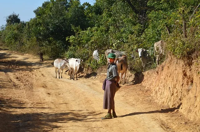 농업경영체 등록 갱신 완벽 정리_5
