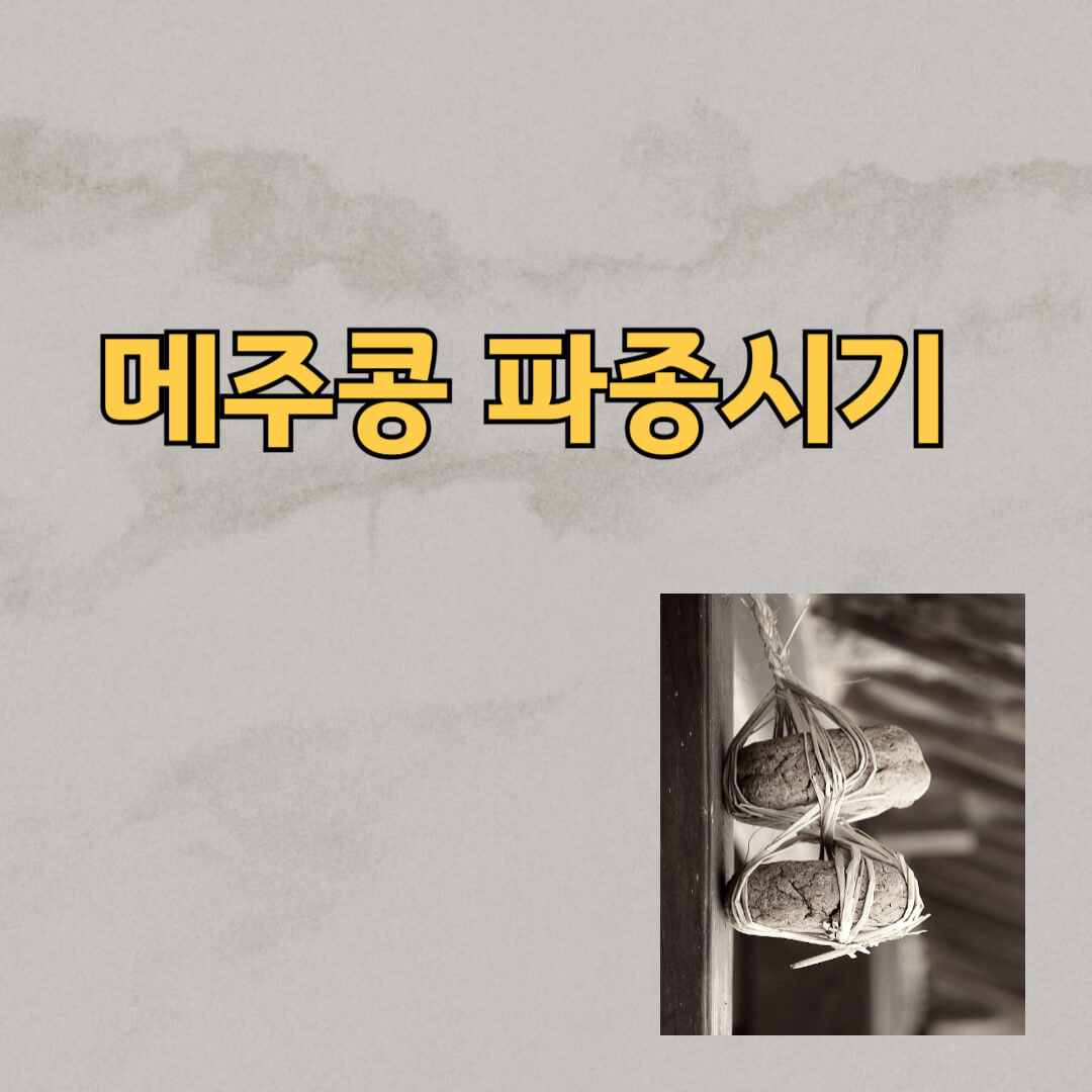 메주콩 파종시기