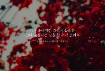 사랑하는 연인에게 좋은 글 모음집_23