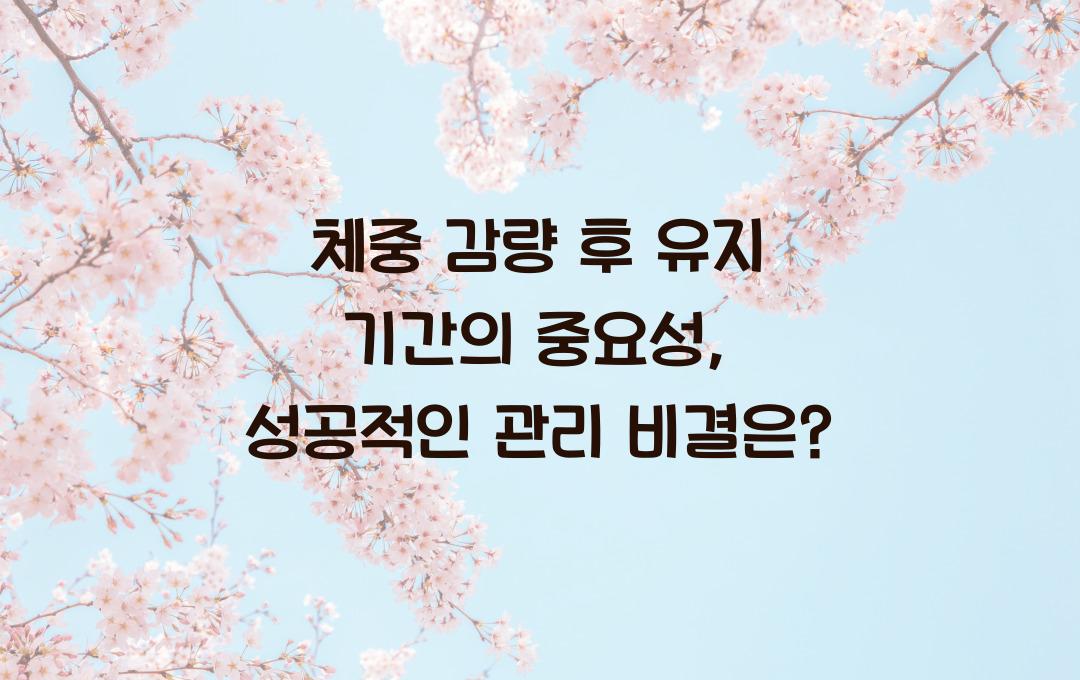 체중 감량 후 유지 기간의 중요성