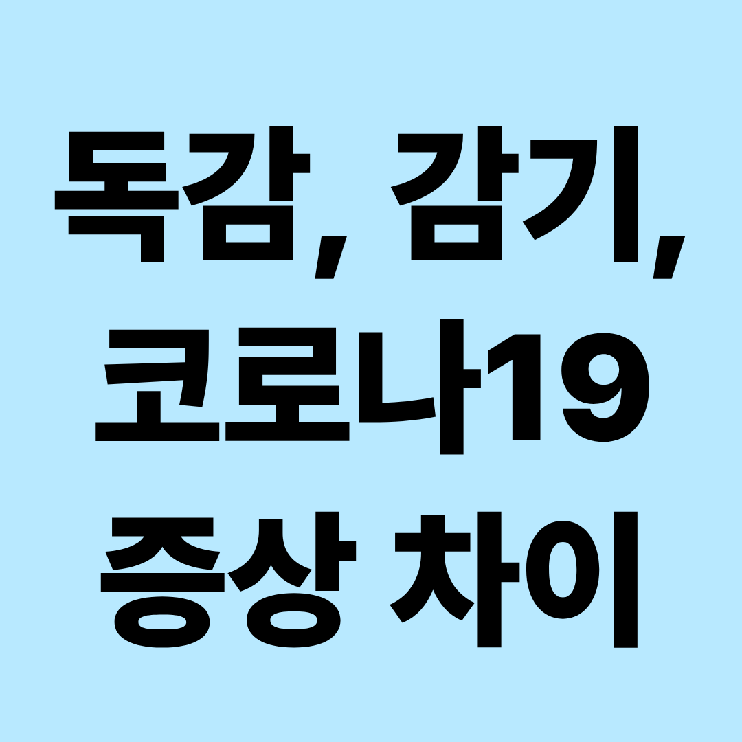 독감·감기·코로나19 증상 차이 총정리|열·기침·몸살로 구별할 수 있을까?