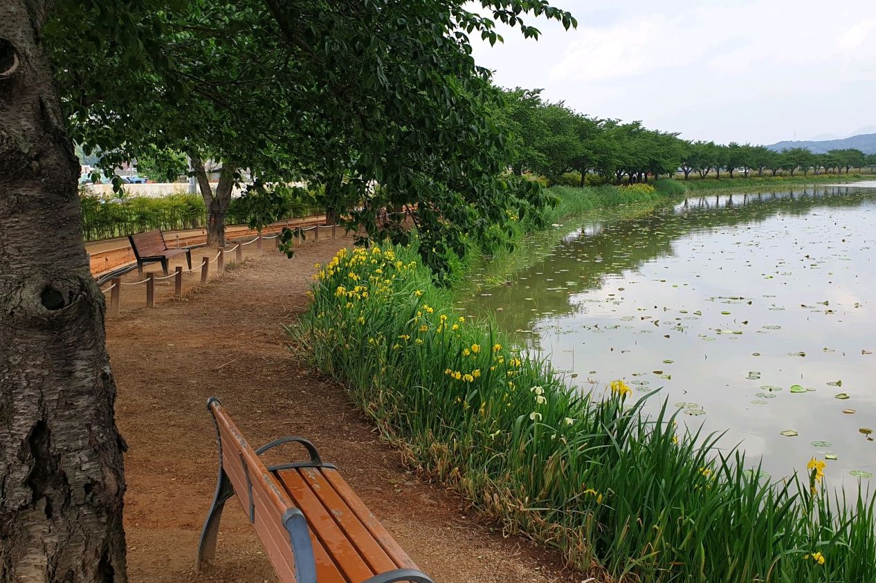 지산샛강생태공원