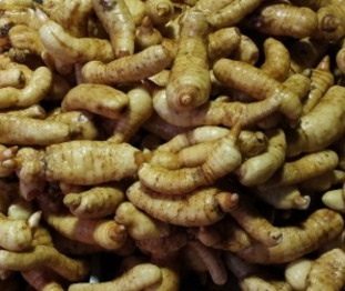 천마 관절 건강과 두통 완화